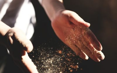 Taller de autoconstrucción bioclimática