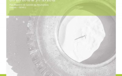 Informe ambiental GENEU 2018