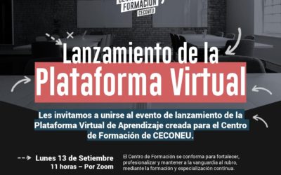Lanzamiento de la Plataforma Virtual