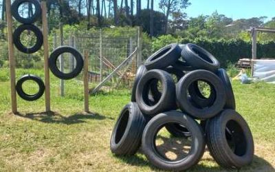 Juegos con NFU para el Jardín 259