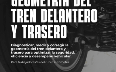 Curso Tren Delantero y Trasero